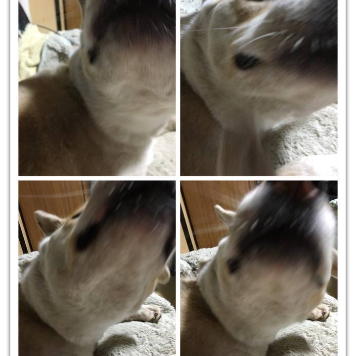 7160d887 2104 4966 bce5 0982acf93a3d