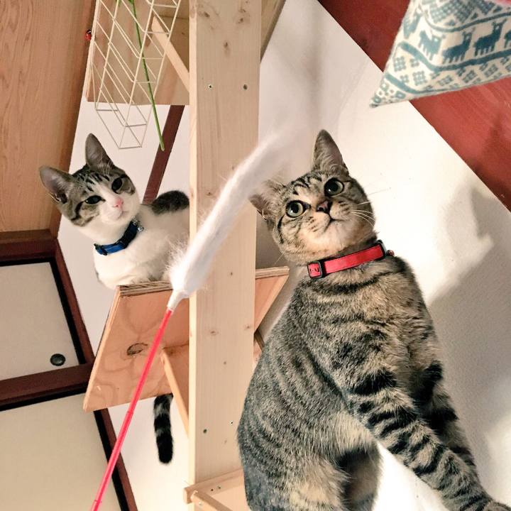 71616da8 650f 4159 ac2e 648f5ef6c81d