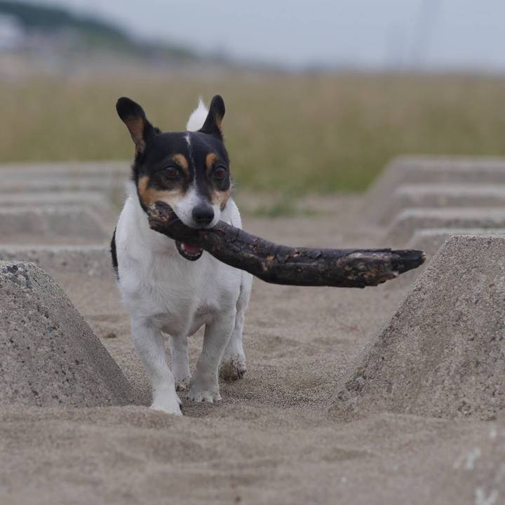 71619f0a 691e 414d bb6b abc625b083fc