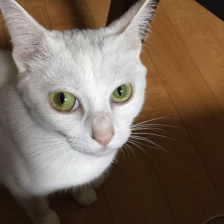 71623988 9005 433f aeb4 b54c346d9f65