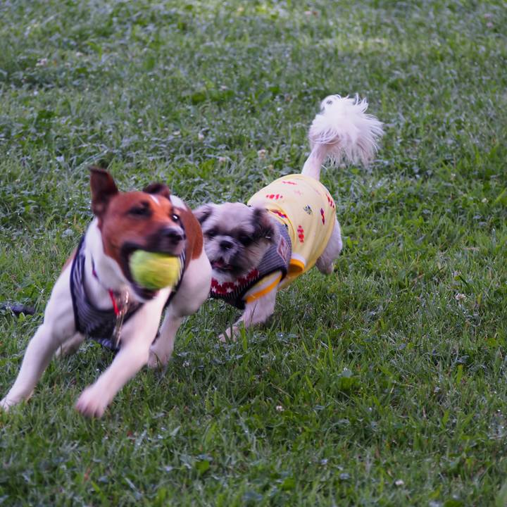 7162b416 76f8 4c64 8e4b bd3ac5d8a61f