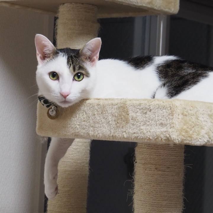 716372fe 0478 4cbd a269 fde84361f340