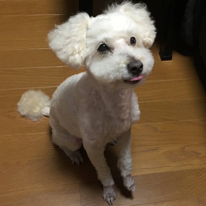 7164384f cc8f 4698 a670 ffa78dbe3d3a