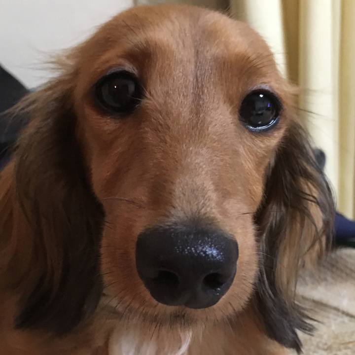 71647d0a aca4 4ef6 b7ed 6a12cd3ca577