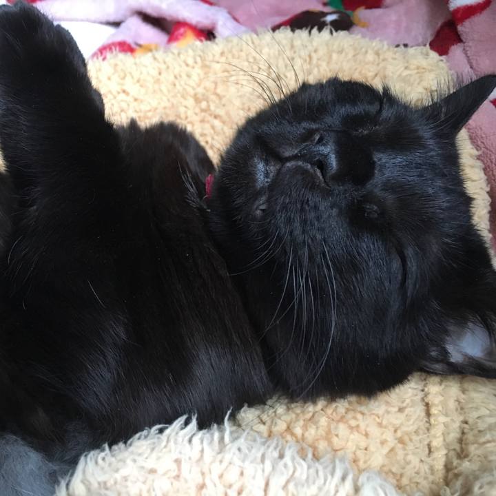 71649e95 73c9 4ece 8ed2 b0b92f2a8340