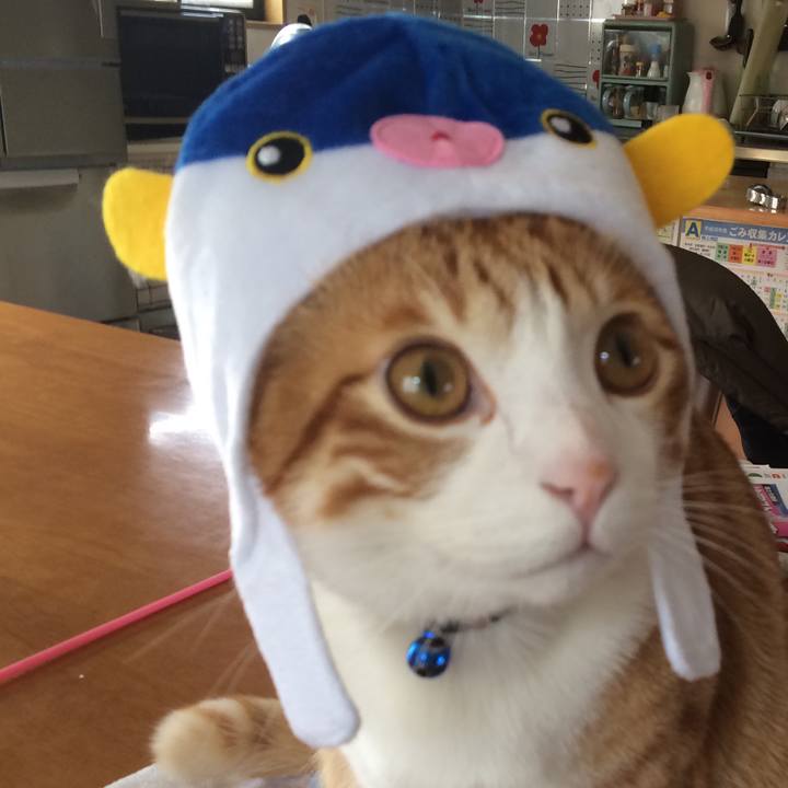 716514a4 1d7a 4af2 abf9 d6a4cd68bac0