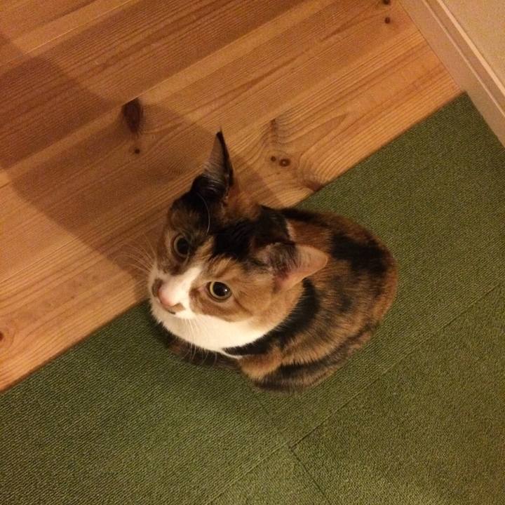 716604bb ce1d 4e34 bc26 3aa8b36f7e38