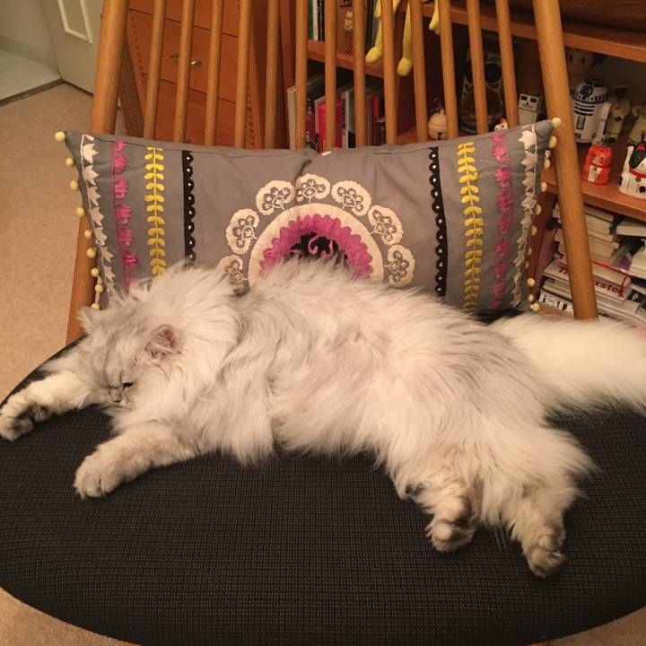 71661f1f d41b 4469 a6ef ae2892a9c9ae