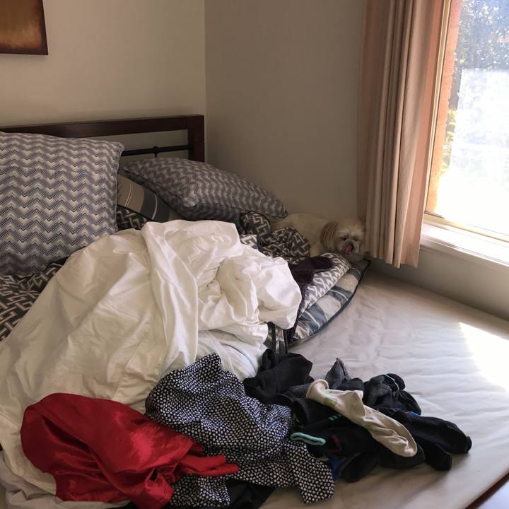 7166253b b724 481e b070 ba4022c7bcf9