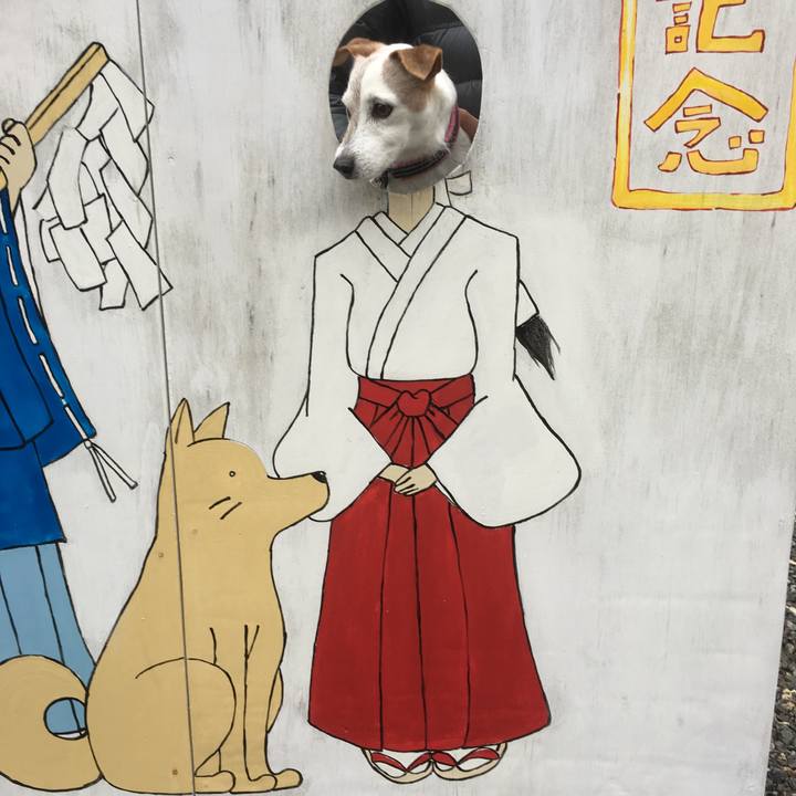 71667118 8b41 4eef a6bb a7cf9929943f