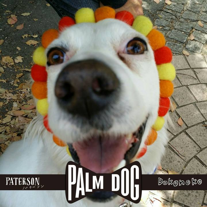 7166dd58 2466 4c46 aa89 6b4c6d519a4e