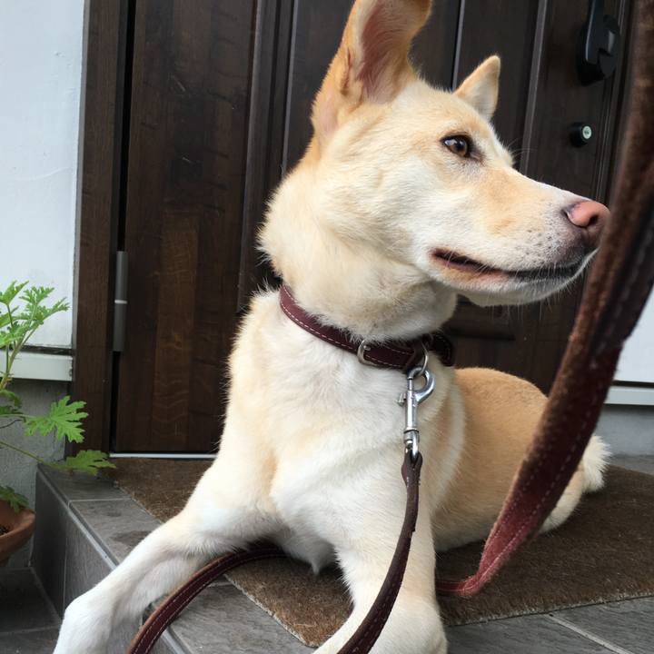 71671af9 f390 4799 95d3 d2cb014b78ec