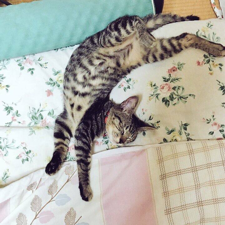 71672ed1 fb09 4d68 b417 0fc4778e085b