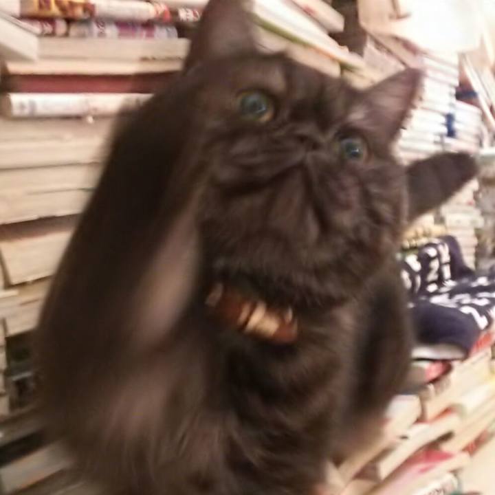 7167433f 3c3e 48d5 be23 aa9e421f0a27