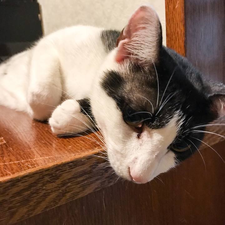 716747cc 8fce 4c96 9905 075868d57f2b