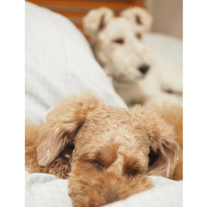 7167e819 8491 4630 8eec 5be5c4c62bbe