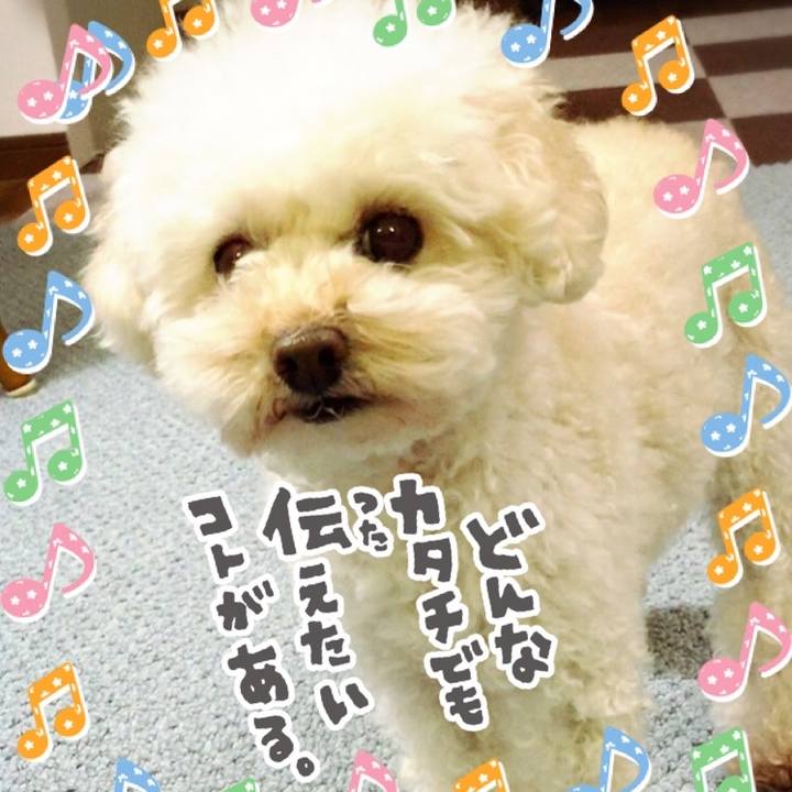 71681e41 2ea3 4af7 88c2 05374c6abdc3