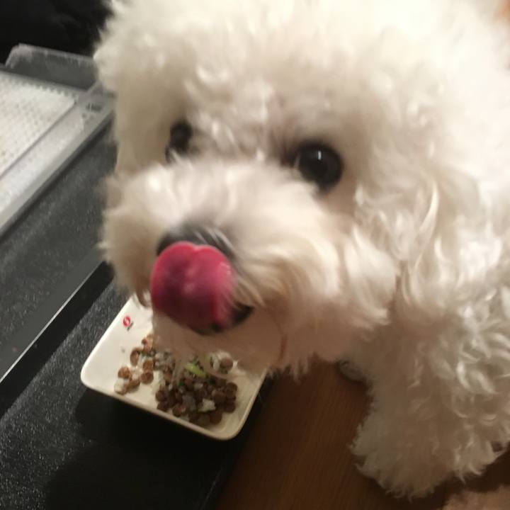 71688e25 357b 4cda b8f3 d5796e70eda6