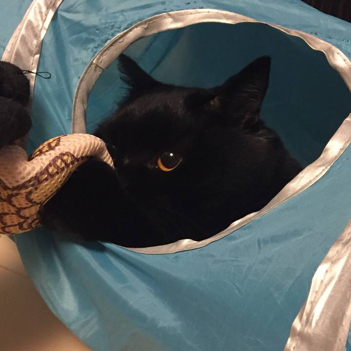 7168ed6c 6f6d 445a 9686 3b23c05a05b5