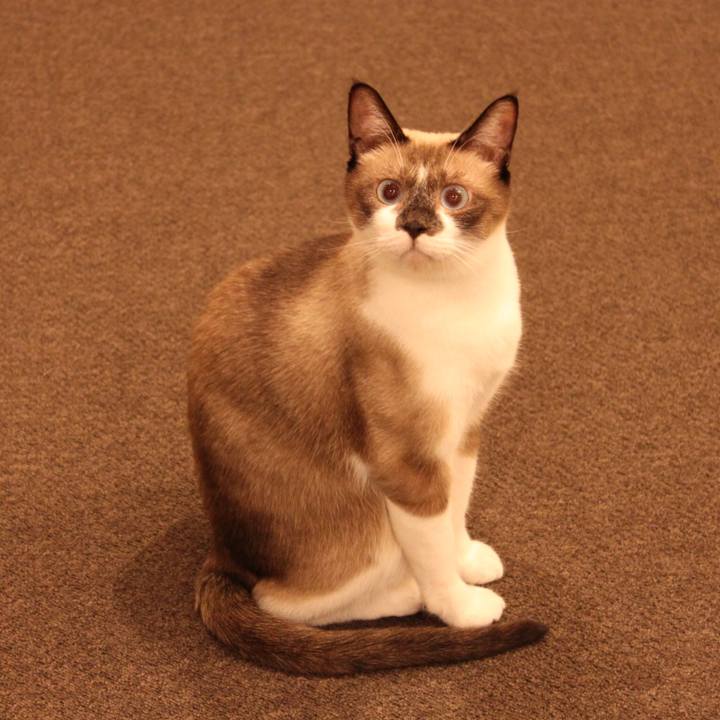 71695d60 1b73 4429 89f1 8c2c584ff058