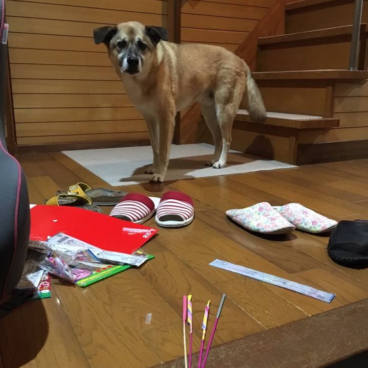 7169daa5 a19c 46ac 9820 9934735d07f6