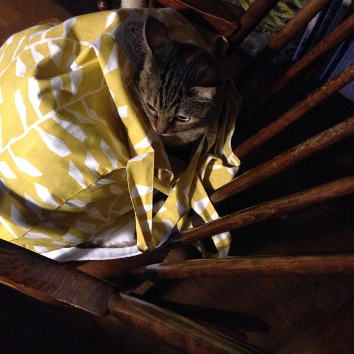 716a66e7 0fff 4084 91ab 1101cc4d77f1