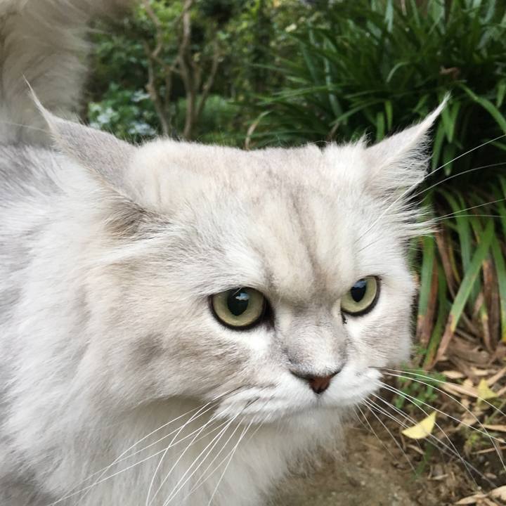 716a67d4 d10d 4e32 834c 16657e567a4d