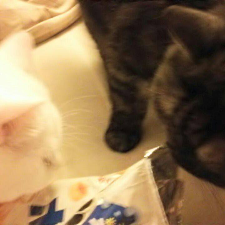 716a7812 b0b4 4206 9c98 da21b0a4c929