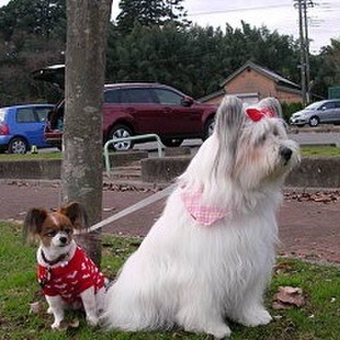 716a9b01 0695 421f 8d26 0b2d5168fc2a