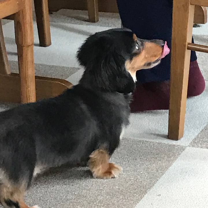 716b5f5a d31b 4017 8f93 cff433b0b4c0