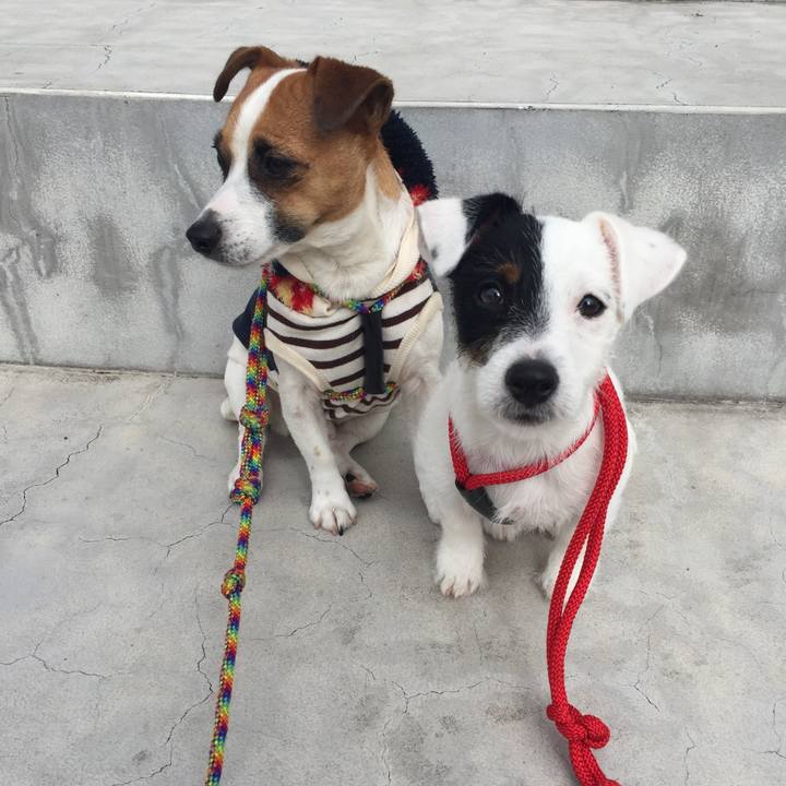 716bb0ef feb6 4525 92d8 b16f46ac73c2