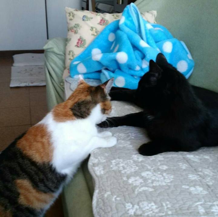 716bbad6 ca70 4756 9f2e 19ff7d787234