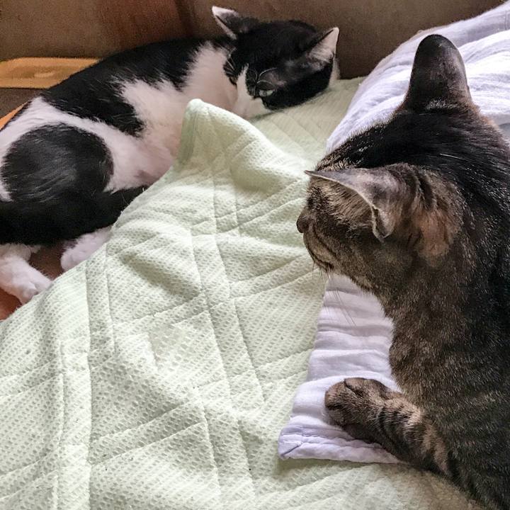 716c6a81 b307 48d6 9d47 9cc315203628