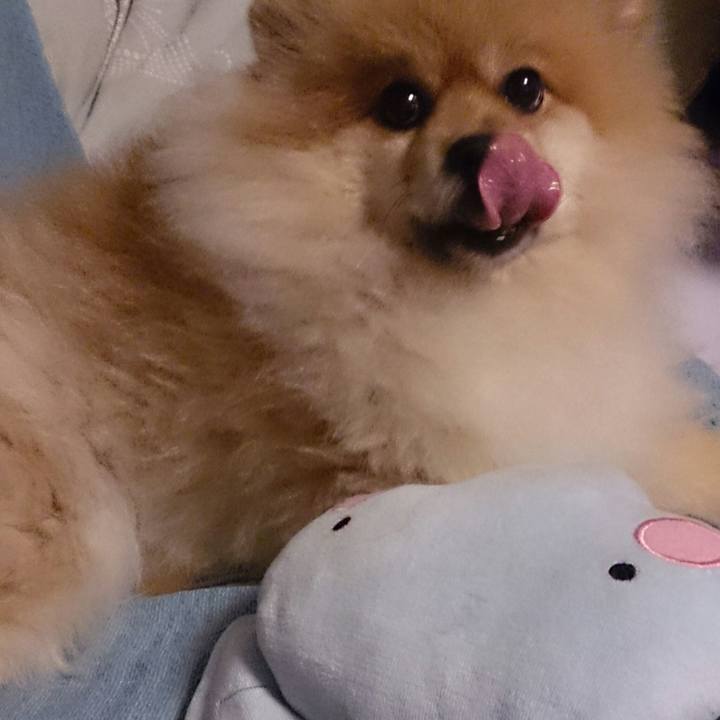 716cc365 6ff6 4f27 a7b9 97cdeca9dda4