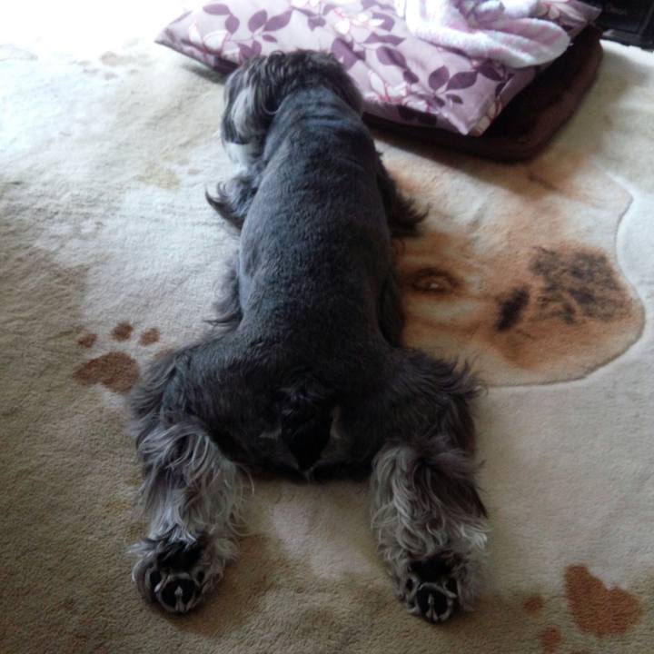 716da72c 4bf7 4c75 a834 b38c6447081c