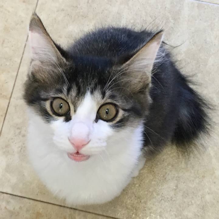 716ddd98 b466 4747 b69d eb9003a78268