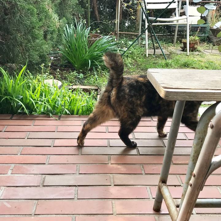 716dff16 865b 4429 906e 7ad3805538a8