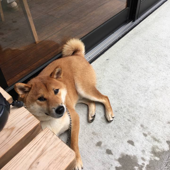 716e1d09 1b5b 48e0 98ce b245c4dc4f8c