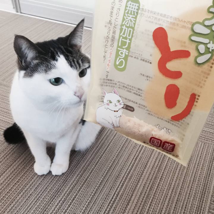 716ea81f 2077 4731 bbae f3e0fe908093