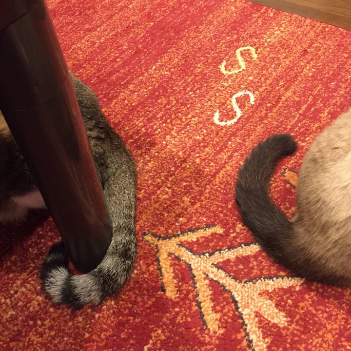 716ebb26 51e3 4d01 ab13 e9737f7df3ae