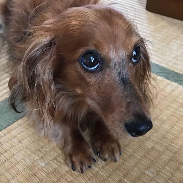 716ee8aa b83f 422d bfcb 2cf3e805926b