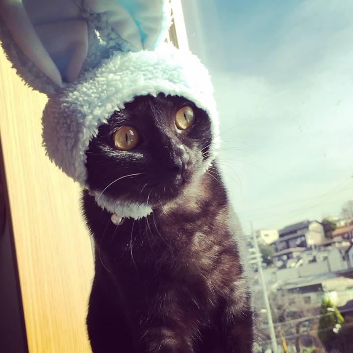 716f1f5e 56e3 4d2d a168 802fd9361676