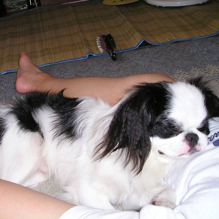 716f215a 60e5 4f65 b2ad fbf64e1f5ca7