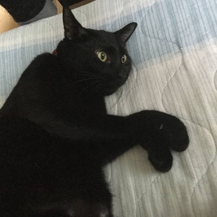 716f9f1c e14d 4ec6 88ff 190eca77db3d