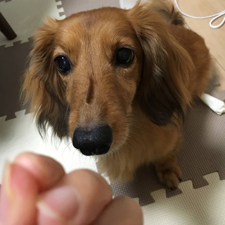 716faa54 86f1 48f2 932c 5d291f042484