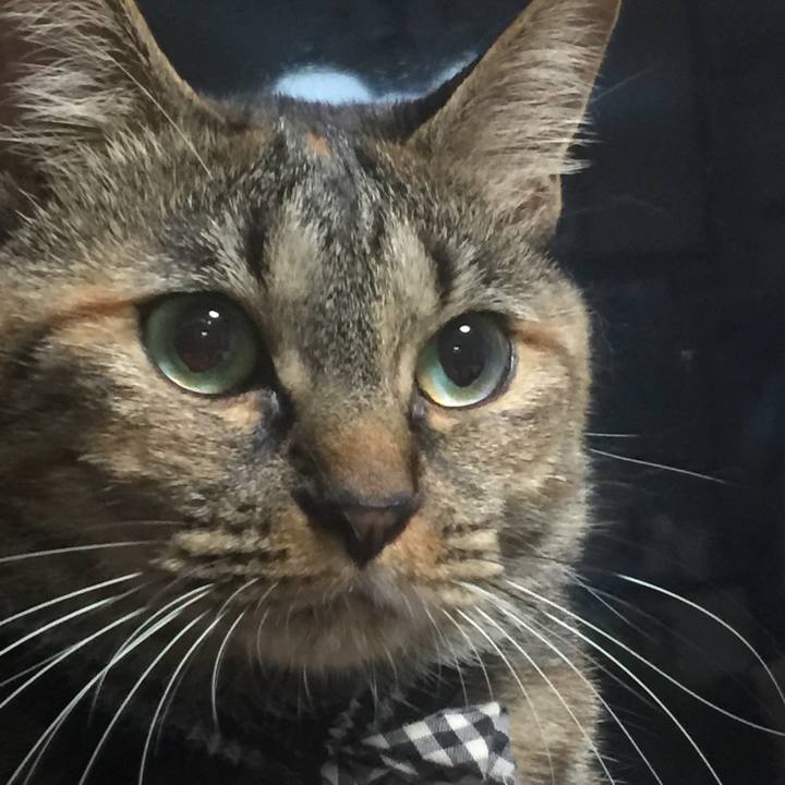 717096ff fdab 4ec2 b20a ee2220396f59