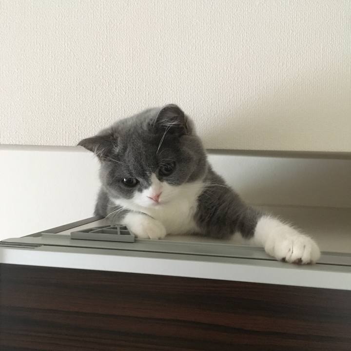 7171446f cd65 490d bc51 8aa1a038ab30