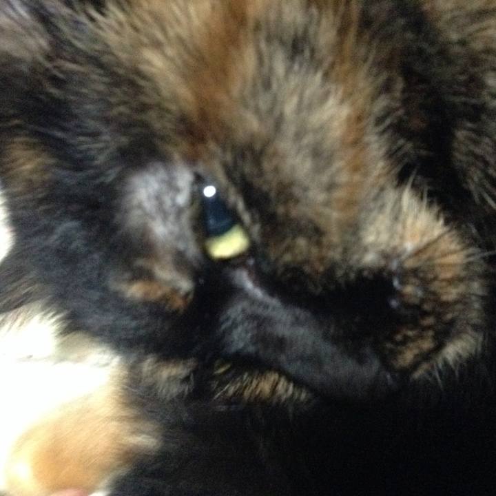 717213b6 7c97 4428 8049 1bd8622d11ca