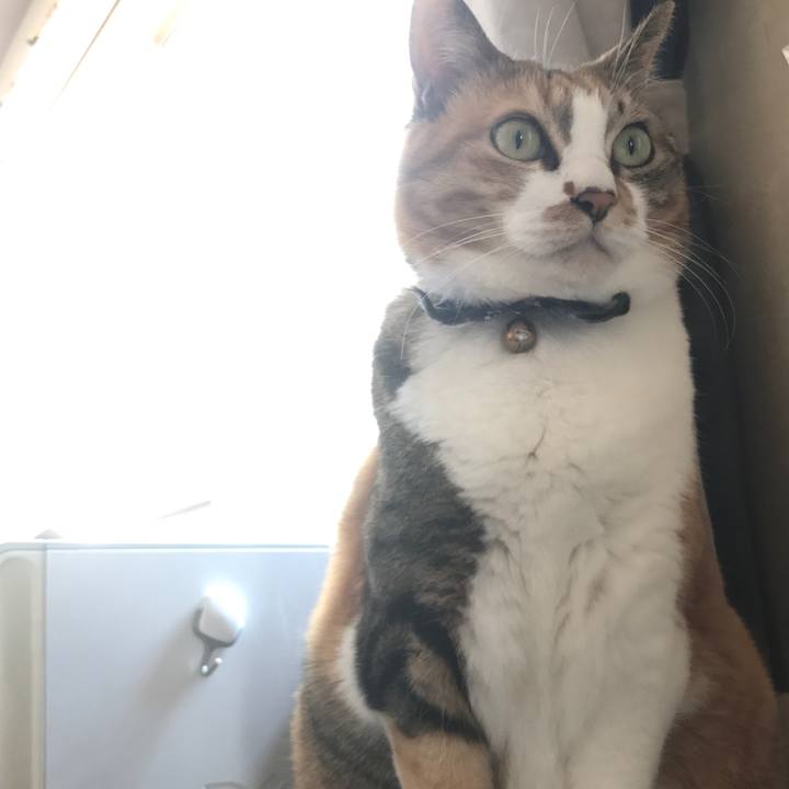 717282ea 2bbc 4cc1 9c95 aa348a46b16d