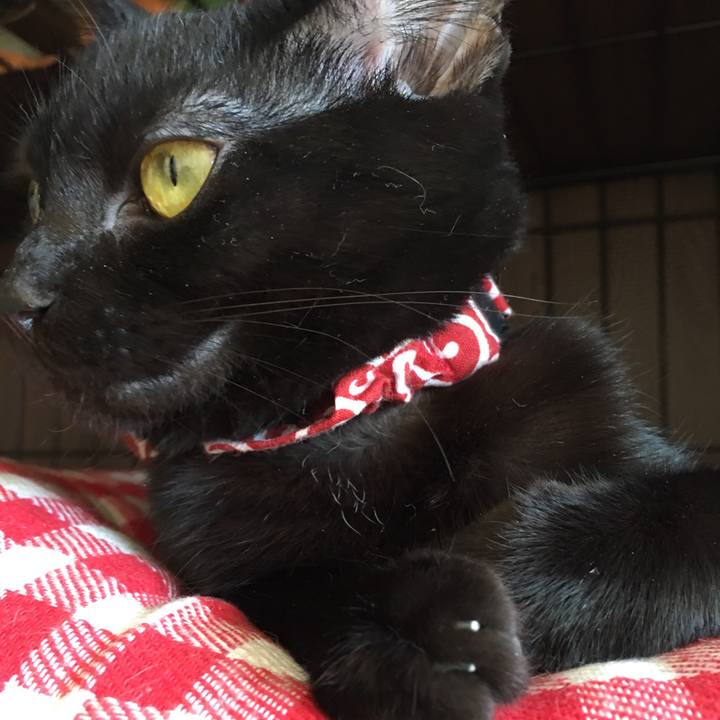 7172ad30 6df0 425e a1e6 6273ceb2877f